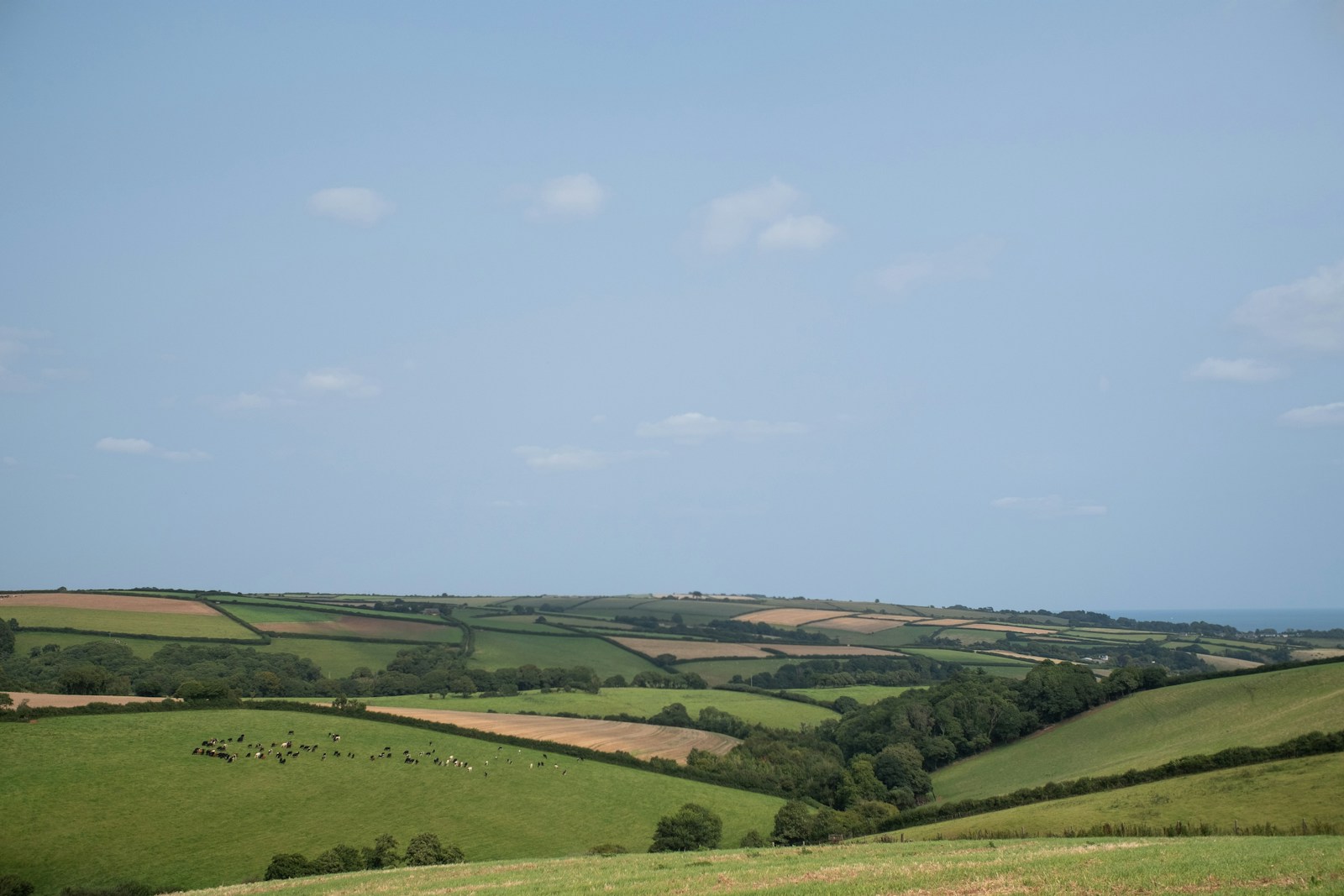 A view of a grassy field with a blue sky in the background
